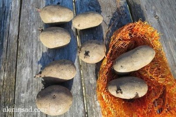 Мега ссылка mega ssylka onion com