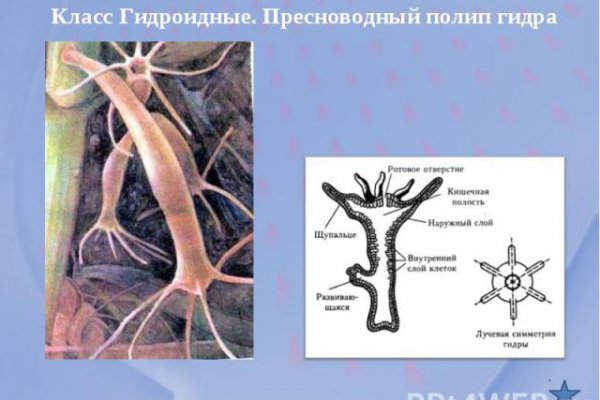 Kraken ссылка tor kra.mp