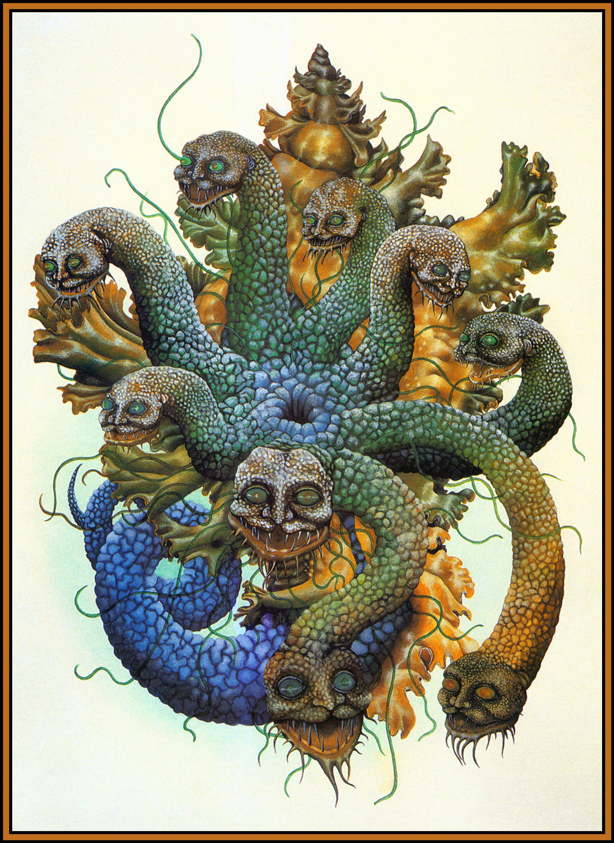 Kraken19 at