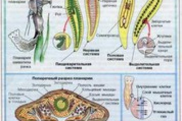 Кракен как войти через тор