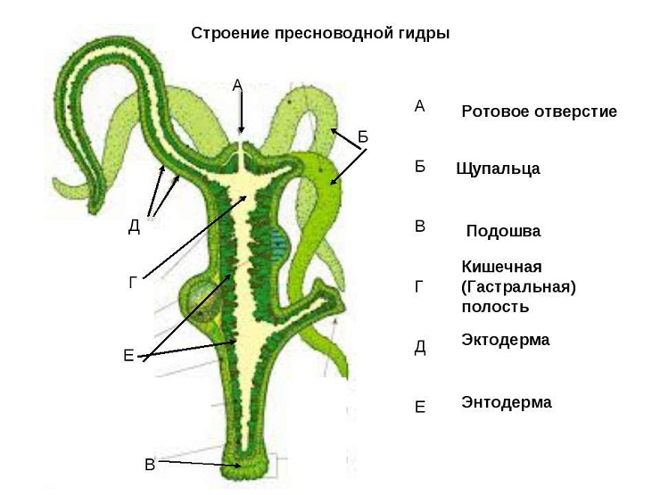 Kraken магазин интернет